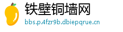 铁壁铜墙网